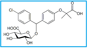 FENIROFIBRATE O-Β-D-GLUCURONIDE